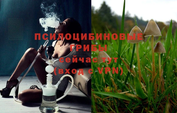прущая мука Богданович