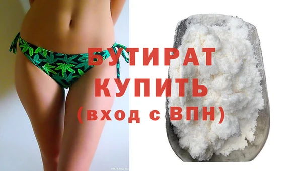 прущие грибы Сосновый Бор