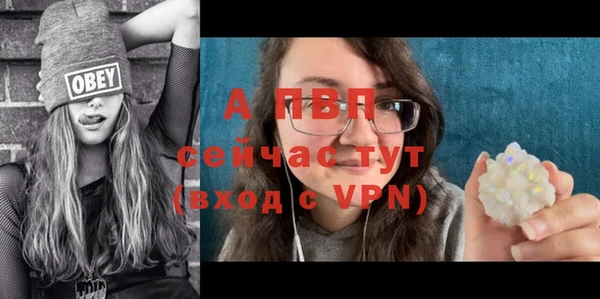 прущая мука Богданович