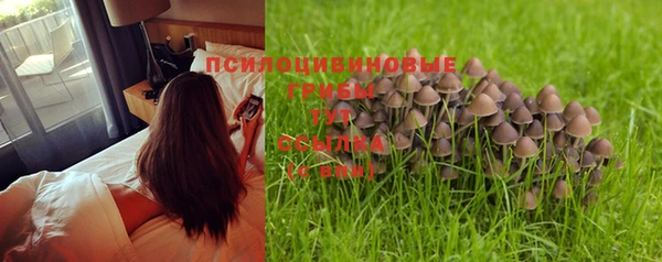 прущая мука Богданович