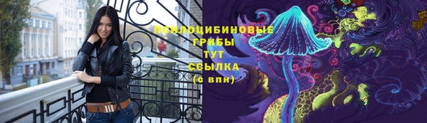 спайс Богородицк