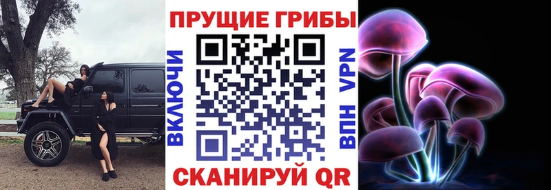 Псилоцибиновые грибы прущие грибы  Горно-Алтайск 