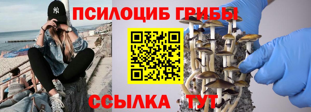 Горно-Алтайск  Псилоцибиновые грибы Magic Shrooms  купить наркотик  Вход с VPN 