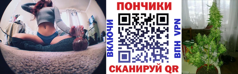 KRAKEN ссылки  Горно-Алтайск  МАРИХУАНА тримм  сколько стоит 